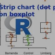 Combine Overlay Boxplot And Strip Chart Dot Plot With The R Software