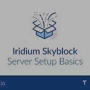 Minecraft Iridium Skyblock Server Setup Basics