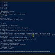 Using GNU Screen For Long Running Scripts Servers
