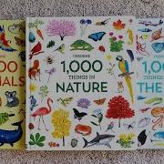 Usborne 1000 вещей в природе 1000 животных 1000 вещей под водой