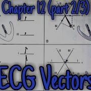 ECG Vectors Chapter 12 Part 1 4 Guyton And Hall Text Book Of Physiology