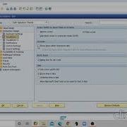 How To Display The Material Type Code In SAP