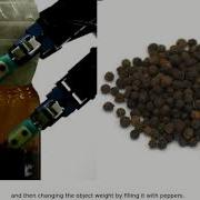Dynamic Grasp Adaptation With A Robot Hand