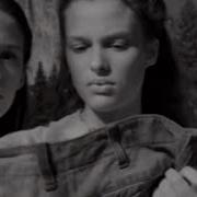 Creek Levi S 501 Commercial Inside By Stiltskin