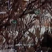 Ninja Defuse COD4 FAIL