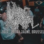 MERE MORTAL Cobra Jaune Brussels 08 08 2019 FULL SET