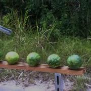 Desert Eagle Vs Watermelon
