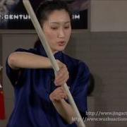 Master Li Jing 3 Section Staff