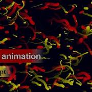 Colorful Particles Animation In HTML CSS JavaScript CANVAS