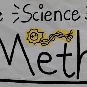 The Effect Of Methamphetamine Meth On The Brain