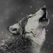 Fever Ray Keep The Streets Empty For Me