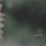 Basicnoise Summer Original Mix