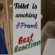 Best Reaction Toilet Is Smoking Prank Tiktok Trendy