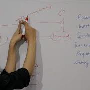 CPU Scheduling Criteria In Operating System Various Times Related To Process