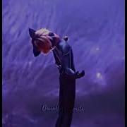 I Will Take The Bullet For You Miraculousladybug Miraculousawakening Catnoir