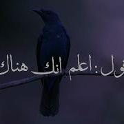 Blue Bird Charles Bukowski طائر آزرق تشارلز بوكوفسكي Translate Arabic
