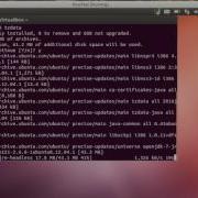 Installing Java In Terminal Linux