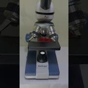 What S Really Inside Your Toothpaste Watch What Happens When We Zoom In 100x Under The Microscope