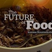 The Future Of Food Eating Insects