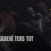 Dolu Kadehi Ters Tut Cambaz Saygı1 Mor Ve ötesi