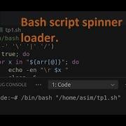 Bash Script Spinner Loader