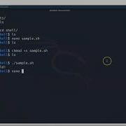 Shell Scripting Tutorial 1 Variables And Read User Input