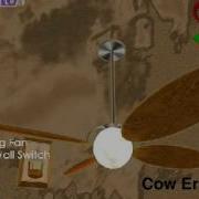Cow Error 447