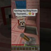 Minecraft Epic Rescue At The End Minecraft Viral Dog Emotional Shorts