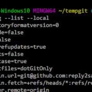 How To View Which Remote Branches Are Being Tracked In Git