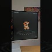 Dog Image To 3D Model With SplineAi Spline 3ddesign Ai Aiart Aidesign Aiartwork Webdesign