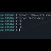 How To Convert Dumb Shell To Fully Functional Shell