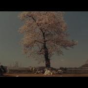 Khruangbin So We Won T Forget Official Video