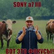 SONY A7 III ОБЗОР ТЕСТ Sony A7 Iii Low Light Test DSLRVIDEOS RU