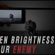 SCREEN BRIGHTNESS DOWN Printing Tips