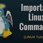 Important Linux Commands For Beginners Linux Tutorial