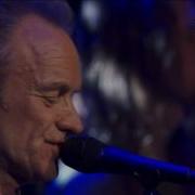 Sting Fragile
