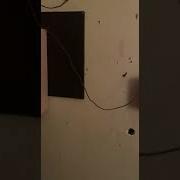 Simplex 4004 Test 1 I M Back