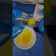 Eggs Under Microscope Science Microbiology Microscopy