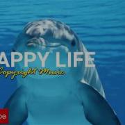 Starfields Hallman No Copyright Music