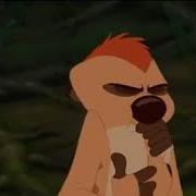 Timon S Burp Loop 1
