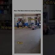 Developer Engineering Bugs Technology Coding Intern Internship