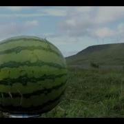 44 MAG Meets WATERMELON