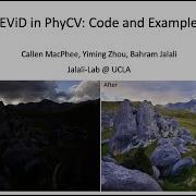 VEViD In PhyCV Code And Examples