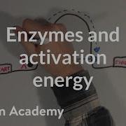 Enzymes And Activation Energy Biomolecules MCAT Khan Academy