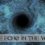 Echo In The Void