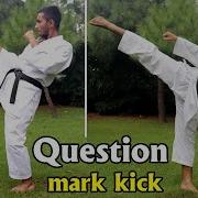Question Mark Kick Tutorial In Hindi Martial Arts Kick Practice Question Mark Kick Kaise Sikhe
