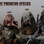 The 8 Predator Subspecies And Hybrids Explained