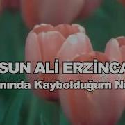 DURSUN ALİ ERZİNCANLI UMMANINDA KAYBOLDUĞUM NURSUN