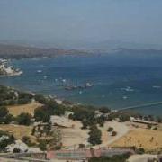AKREP NALAN BODRUM DAYIM HALİKARNAS