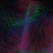 Streamers In Vector Field Animation